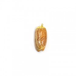 Colgante de Caracola Natural Metalizada 12x25mm