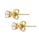 Stainless Steel 304 Earring