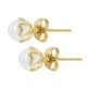 Stainless Steel 304 Earring