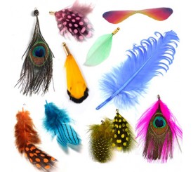 PLUMAS